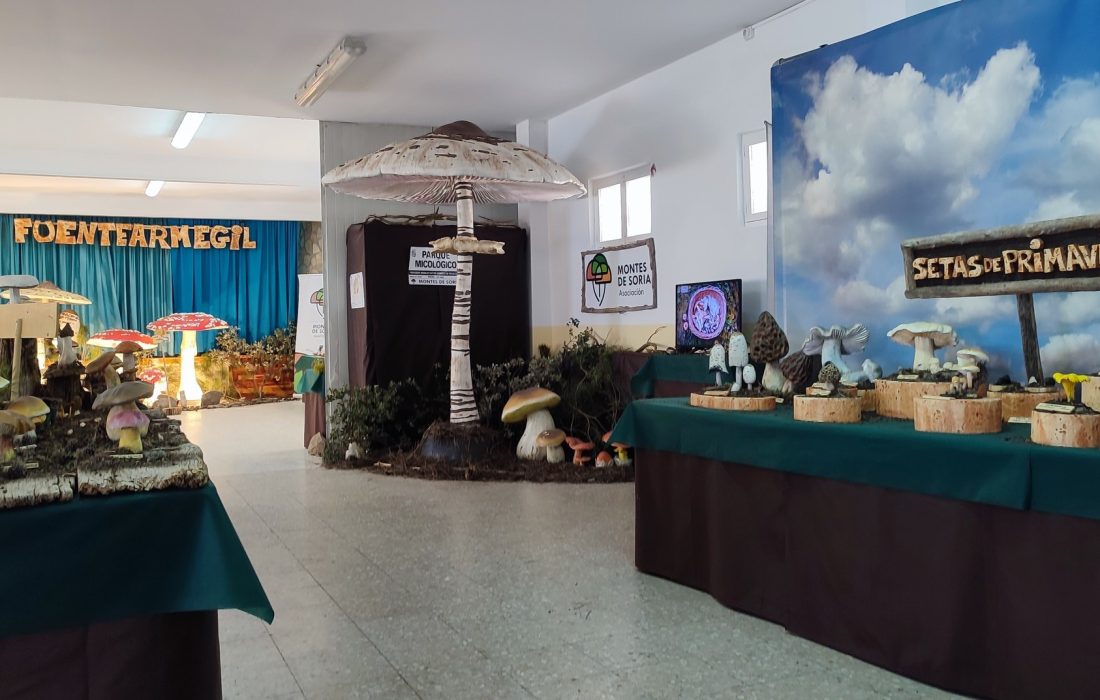 Taller reposteria micologica en Fuentearmegil. Tursoria