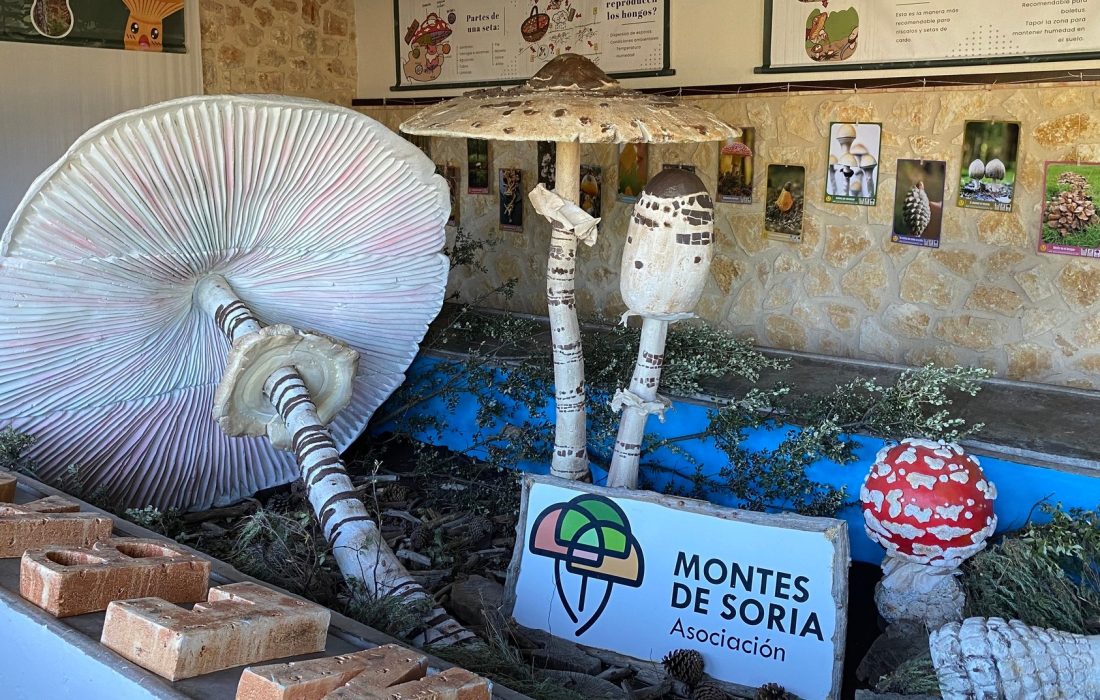 Jornadas micologicas en Valdenebro. Tursoria