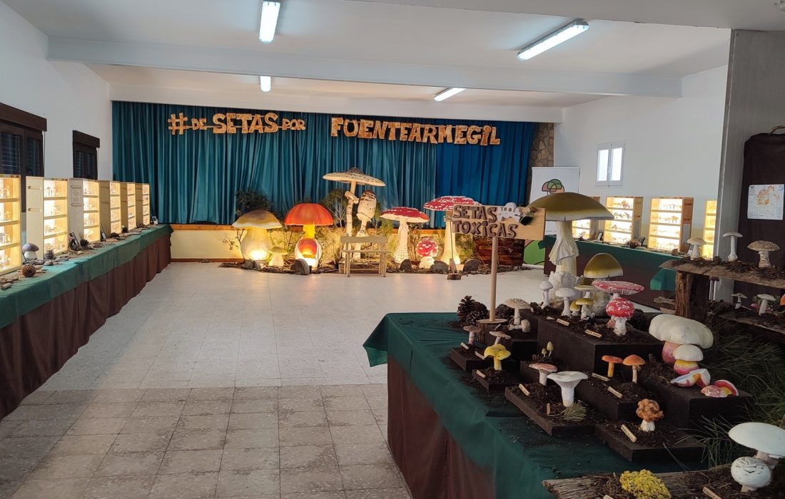 Taller reposteria micologica en Fuentearmegil. Tursoria