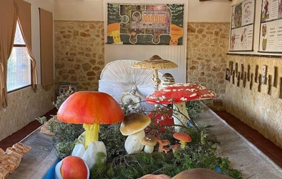 Jornadas micologicas en Valdenebro. Tursoria