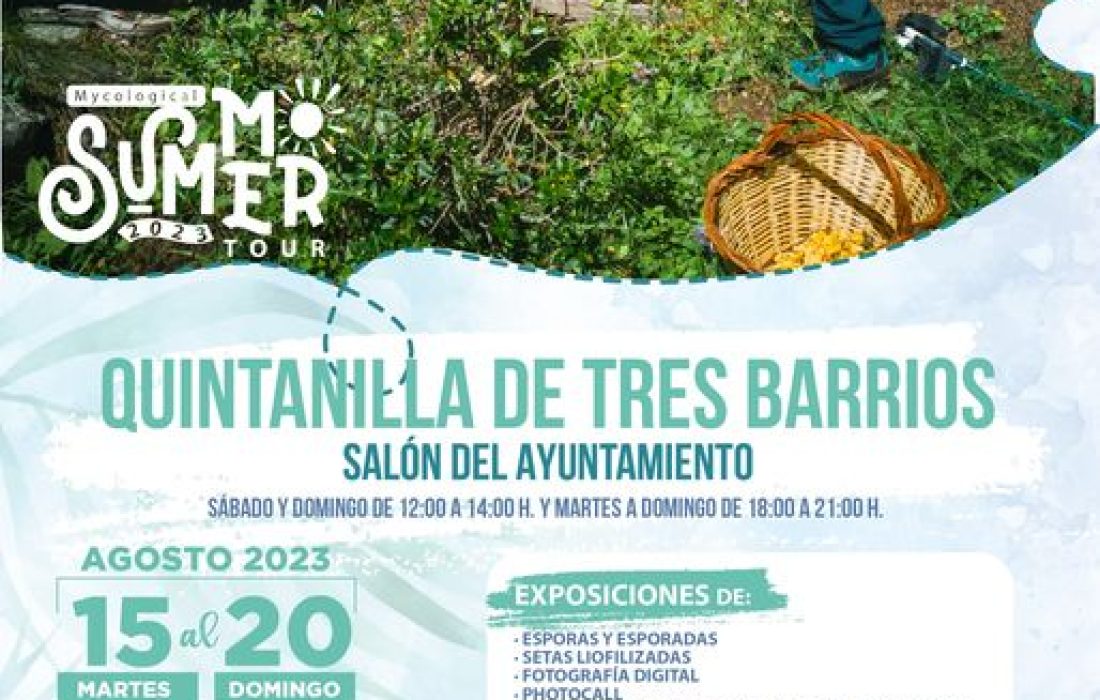 De setas por Soria en Quintanilla de Tres Barrios. Tursoria