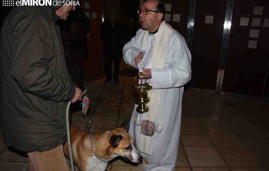 Bendicion de los animales en San Anton. Tursoria