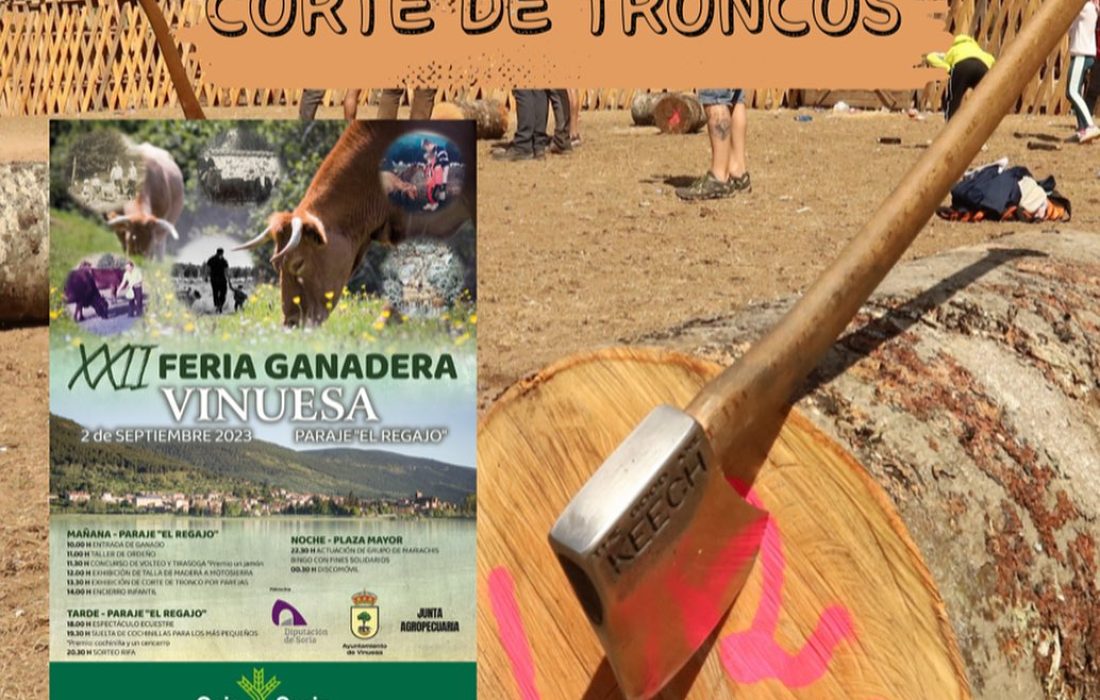 Feria ganadera en vinuesa. Tursoria