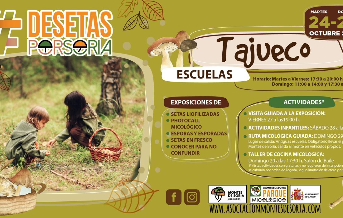 Ruta y taller de cocina micologica en Tajueco