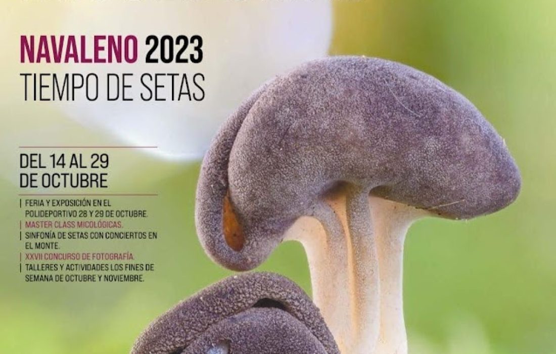 Jornadas micologicas en Navaleno. Tursoria