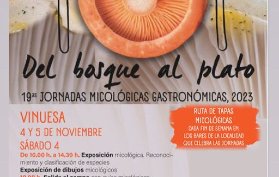 Del bosque al plato. Tursoria