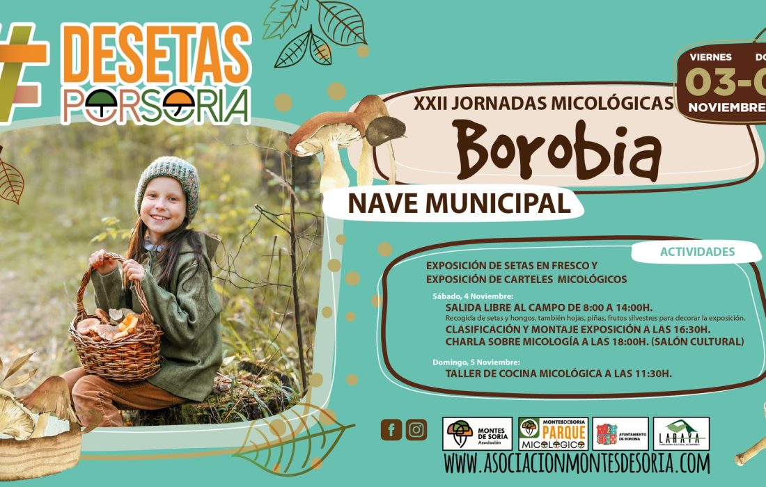 Taller cocina de micologia en Borobia. Tursoria