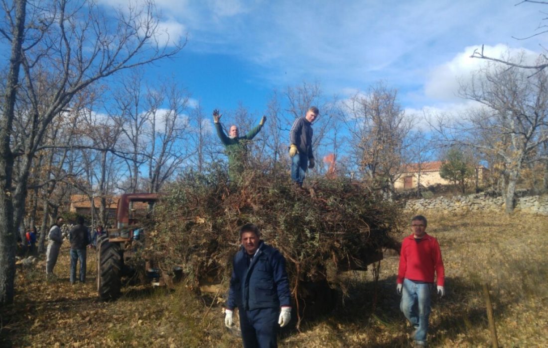 Tursoria Fiesta de la luminaria
