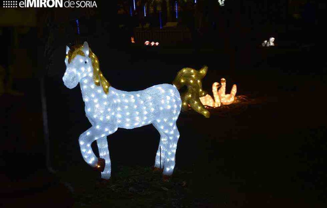 zoo de luz en Soria. Tursoria
