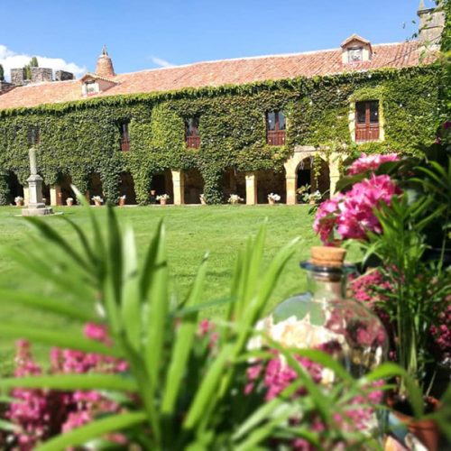 47-665831411752366268