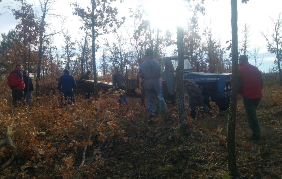 Tursoria Fiesta de la luminaria