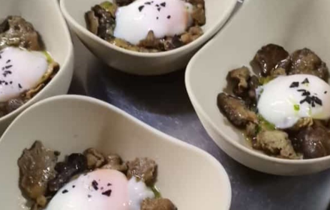 Tursoria. Jornada buscasetas