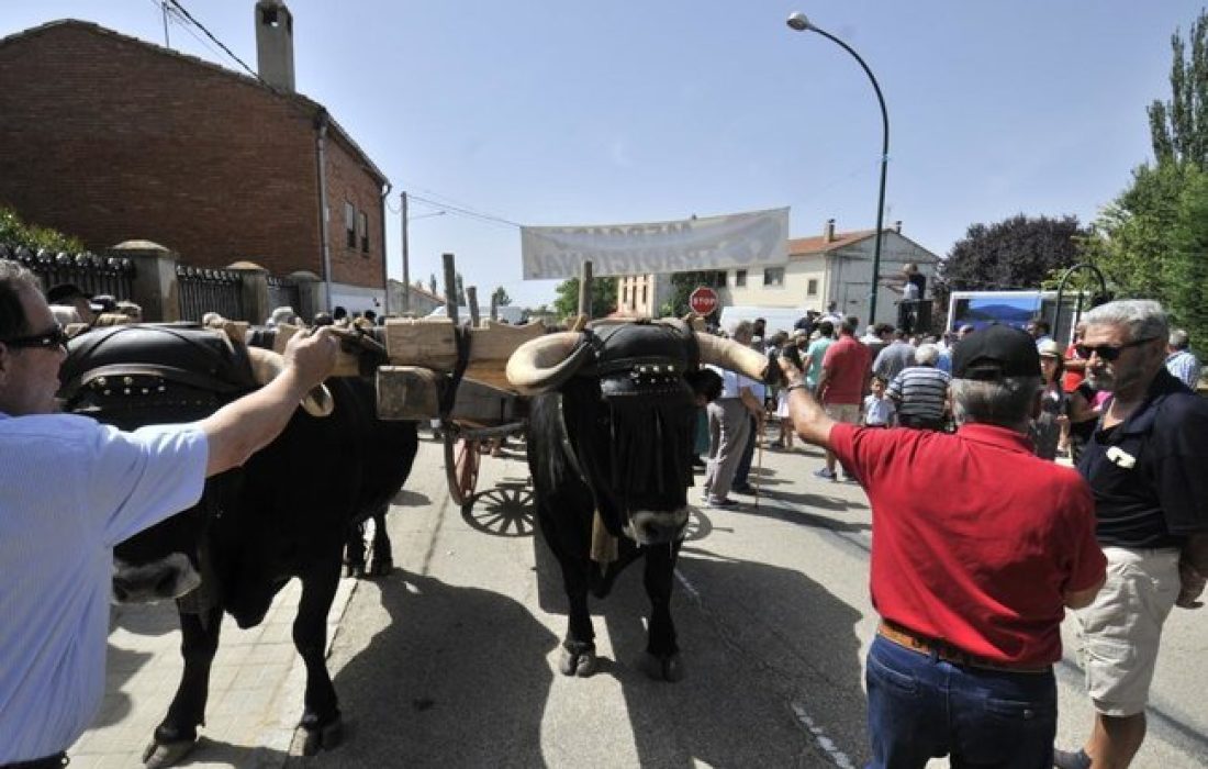 Tursoria el mercado tradicional