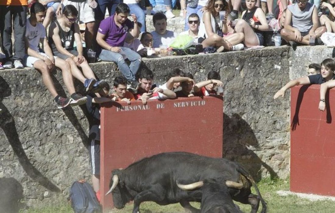 tursoria el desencajomamiento