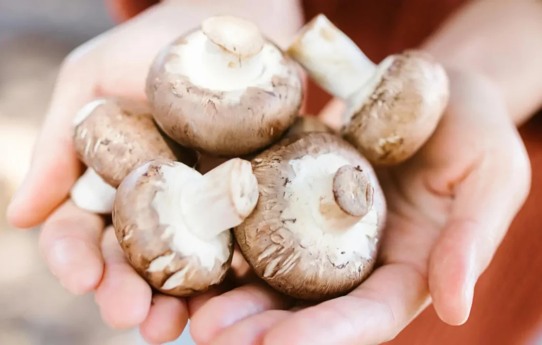 Tursoria desetas en sotillo del rincon