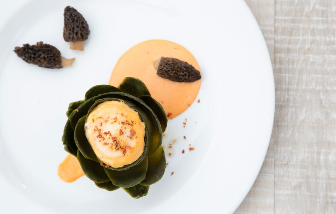 Tursoria jornadas micologicas