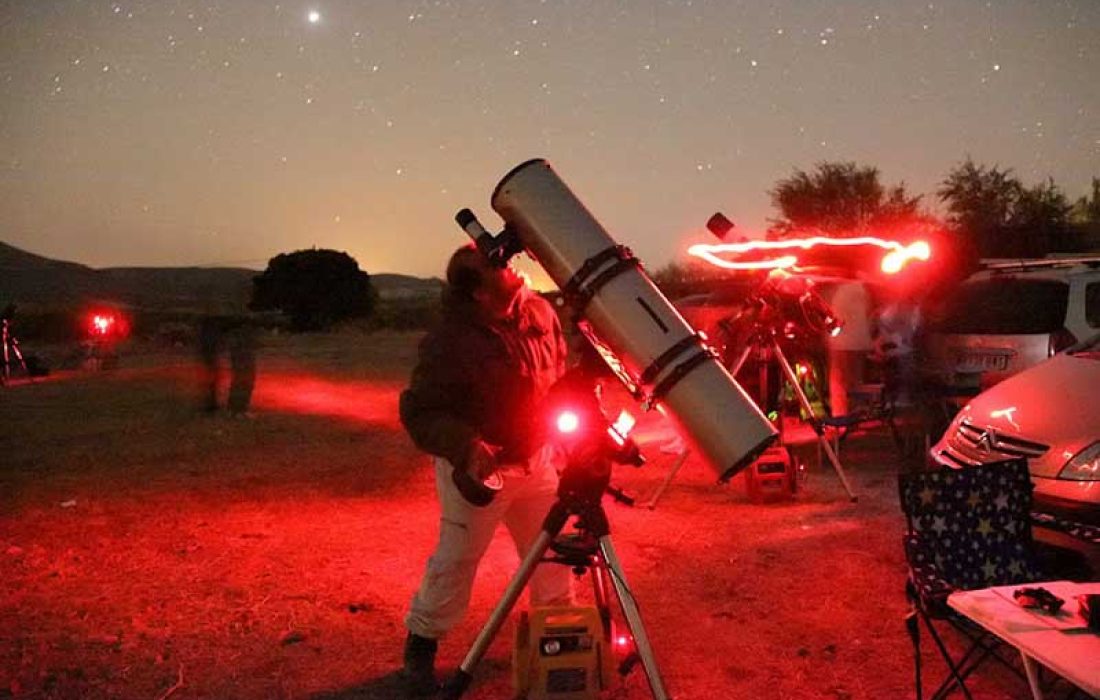 Tursoria astrotiermes