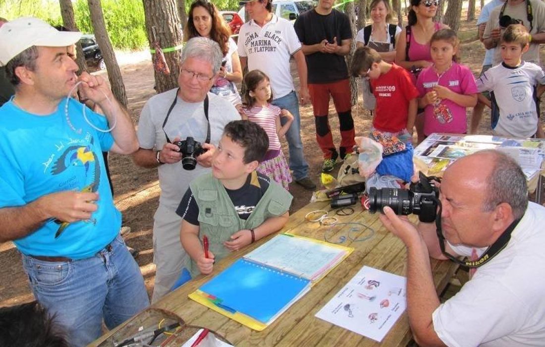 Tursoria anillamiento Yanguas