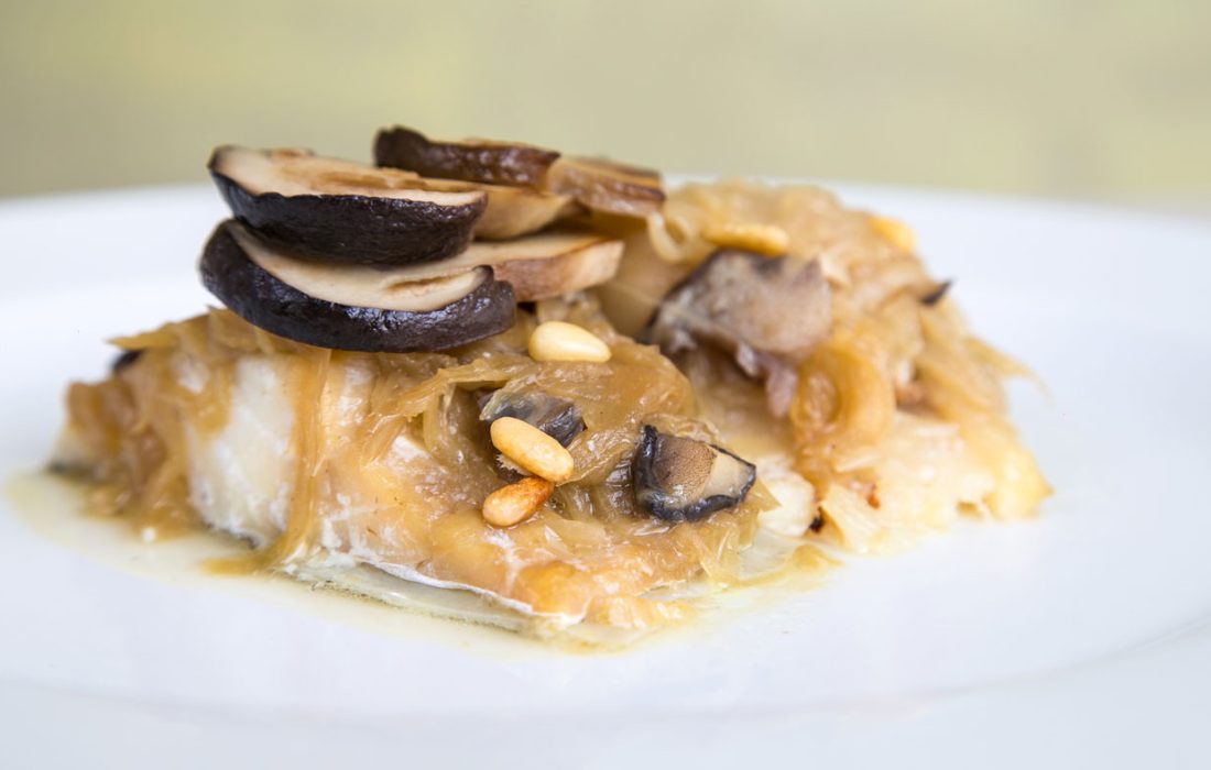 Tursoria jornadas micologicas