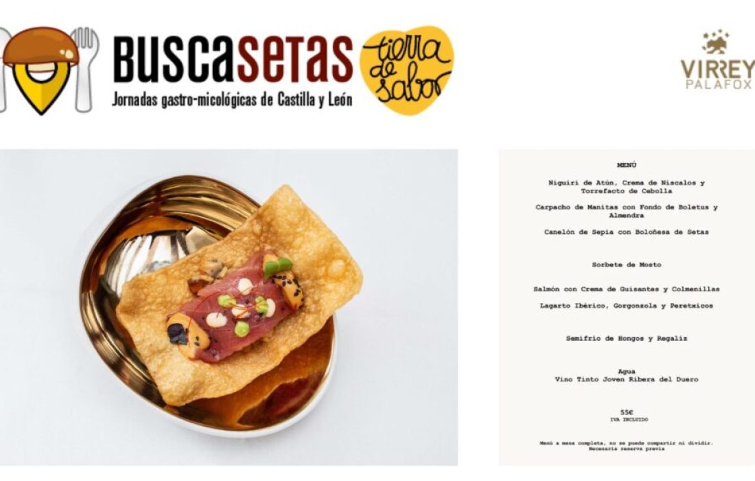 Tursoria. Jornada buscasetas