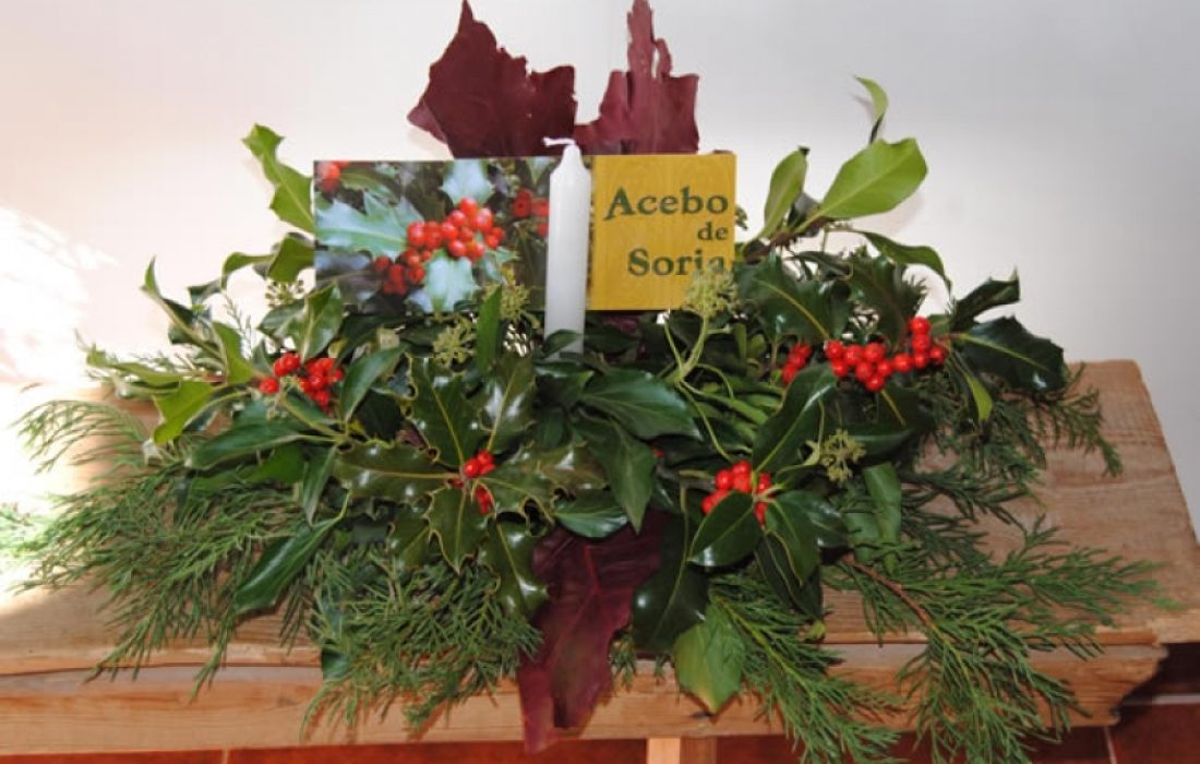 Taller elaboracion centros de acebo. Tursoria