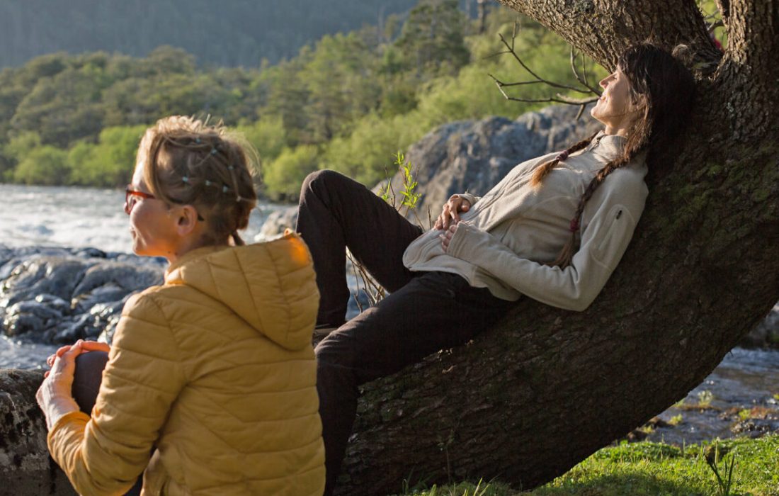 Tursoria baños de bosque