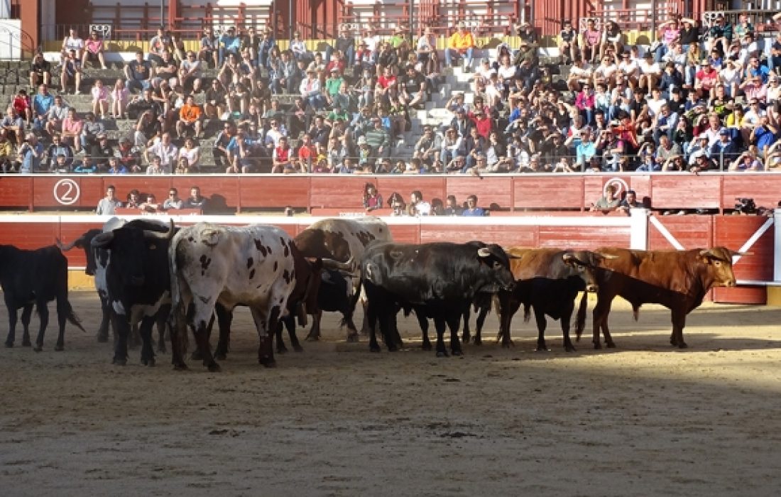 tursoria el desencajomamiento