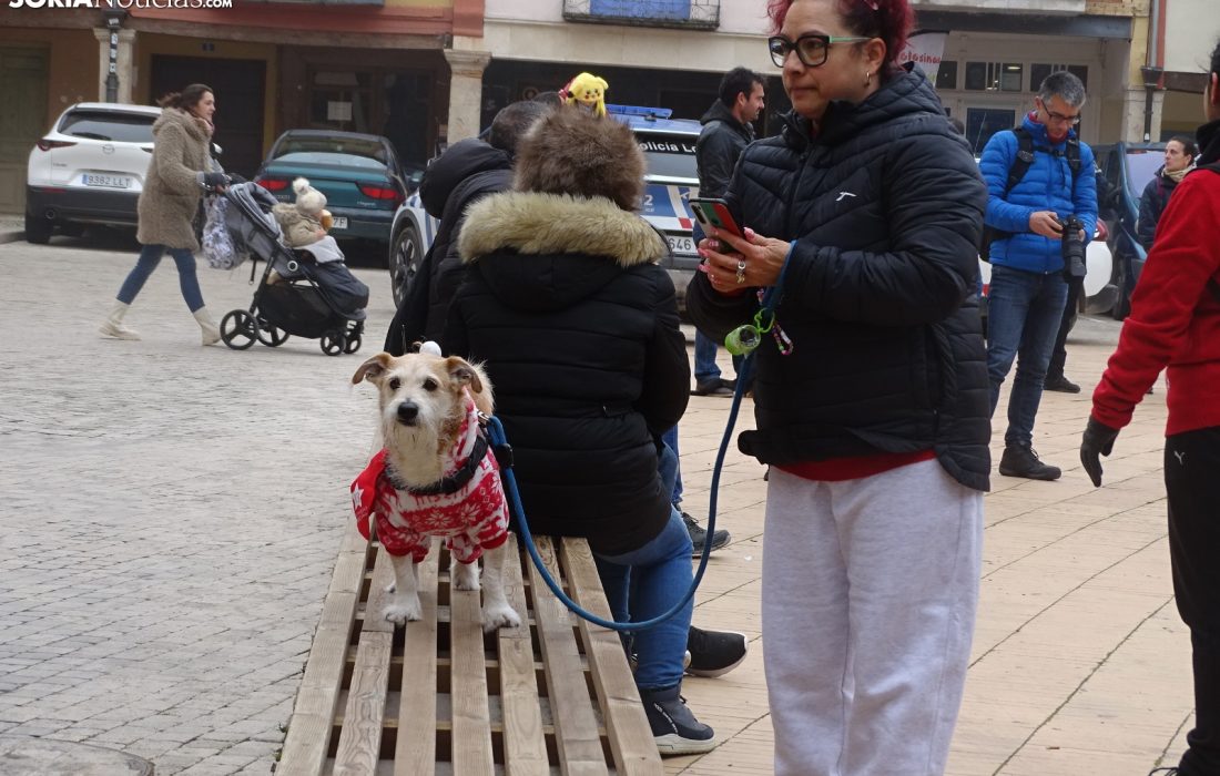 Encuentro perruno en almazan. Tursoria