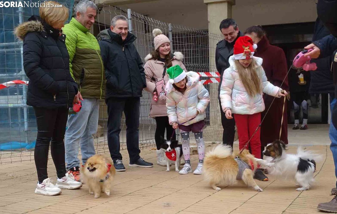 Encuentro perruno en almazan. Tursoria