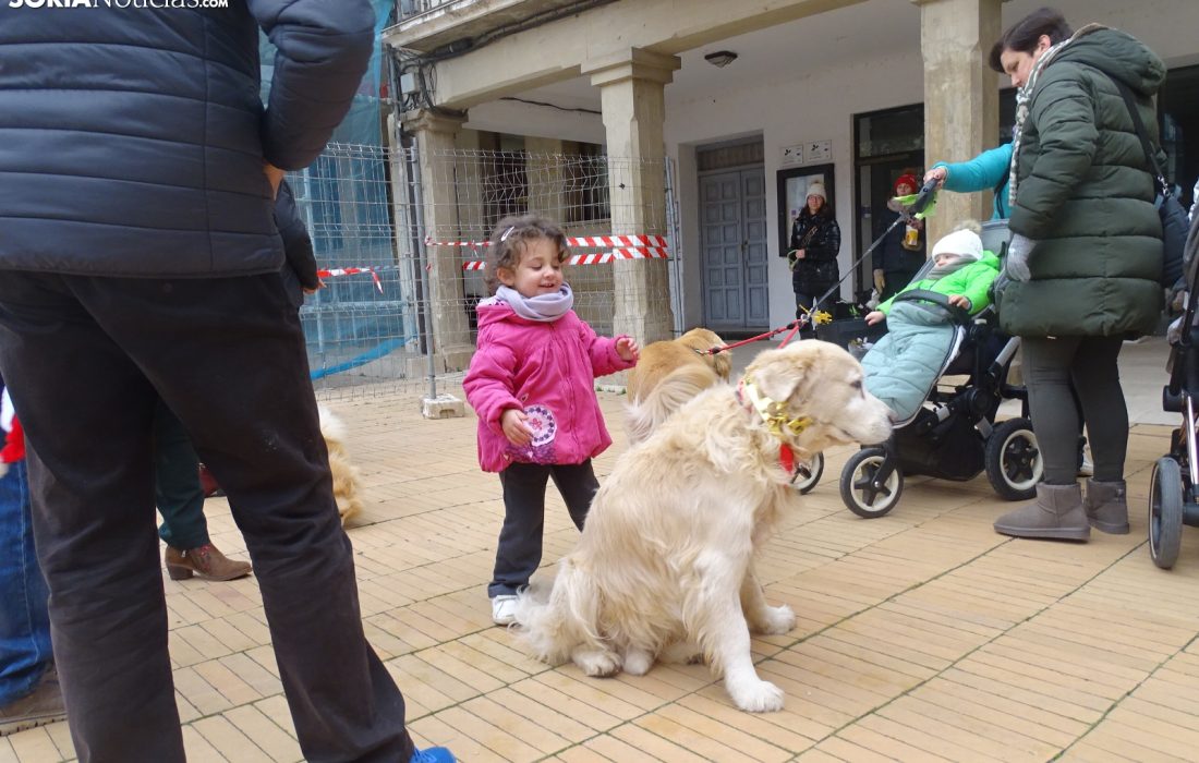 Encuentro perruno en almazan. Tursoria