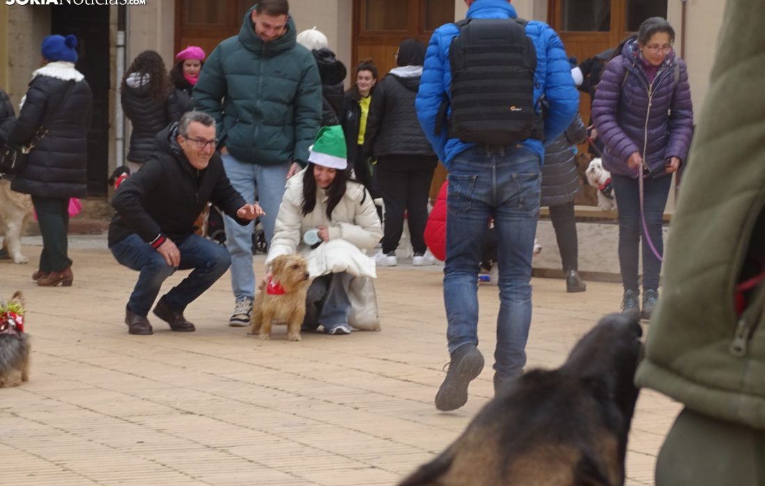Encuentro perruno en almazan. Tursoria