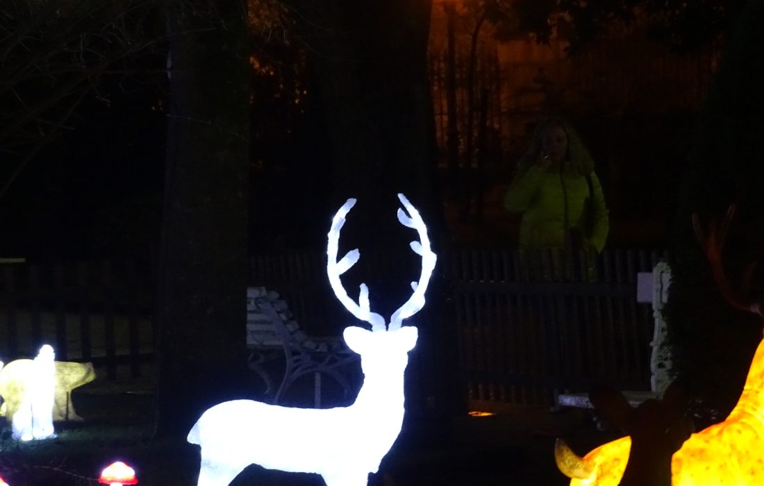 zoo de luz en Soria. Tursoria