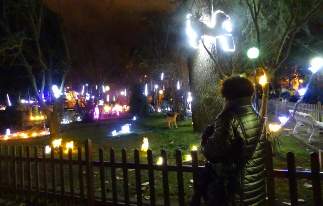 zoo de luz en Soria. Tursoria