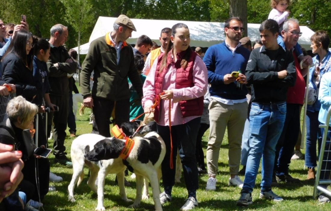 Tursoria feria de mascotas