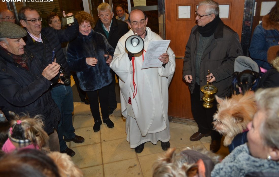 Bendicion de los animales en San Anton. Tursoria