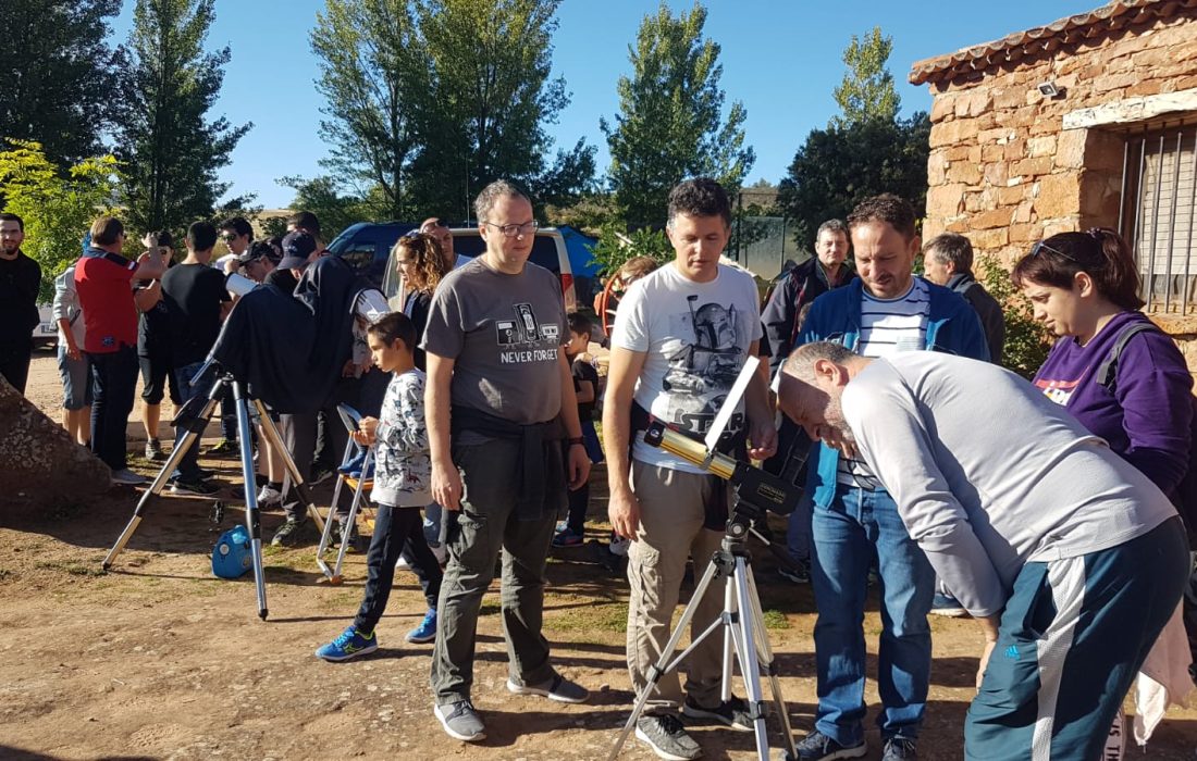 Tursoria astrotiermes