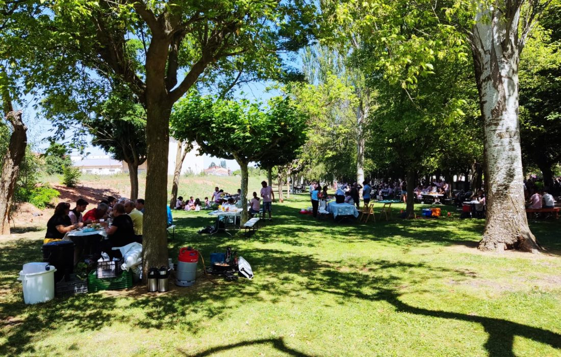 Tursoria. comida popular del pollo en Ágreda