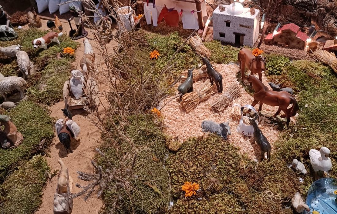 Belen en Seron de nagima. Tursoria