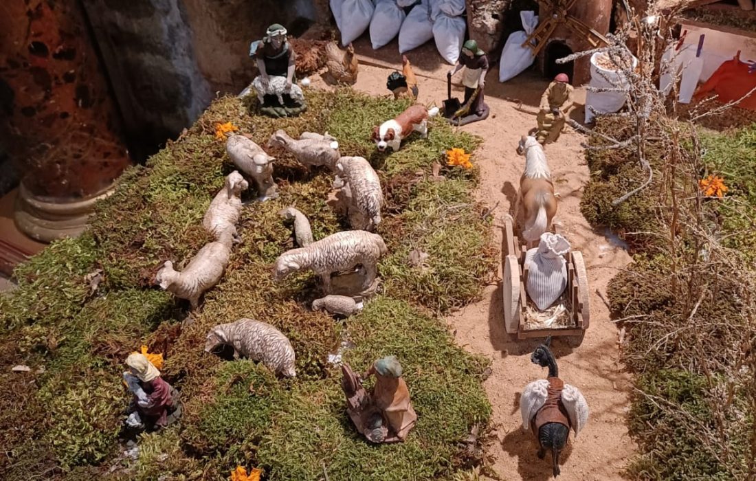 Belen en Seron de nagima. Tursoria