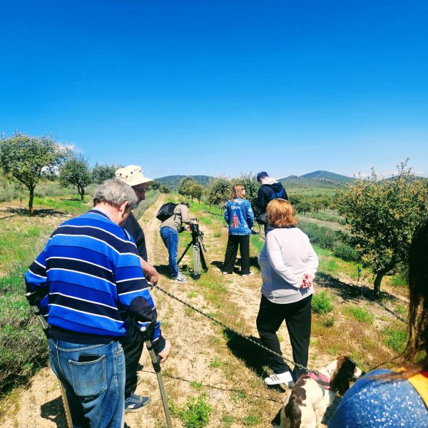 Visita a campos de Trufa