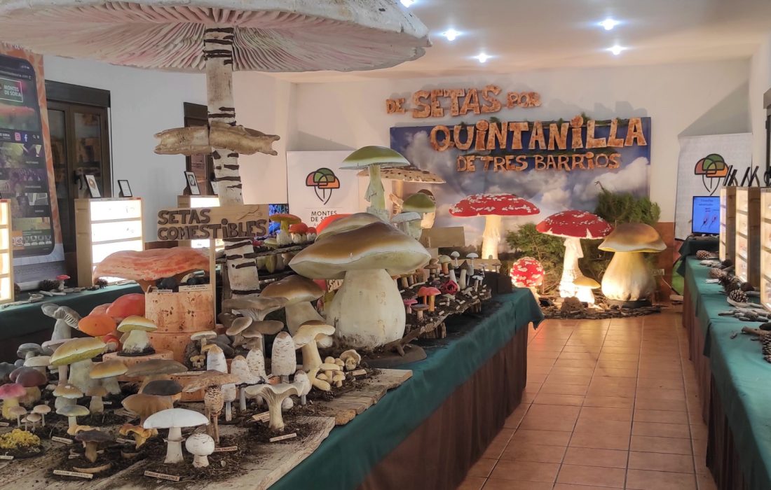 Ruta micologica y taller de reposteria en Quintanilla de tres barrios. Tursoria