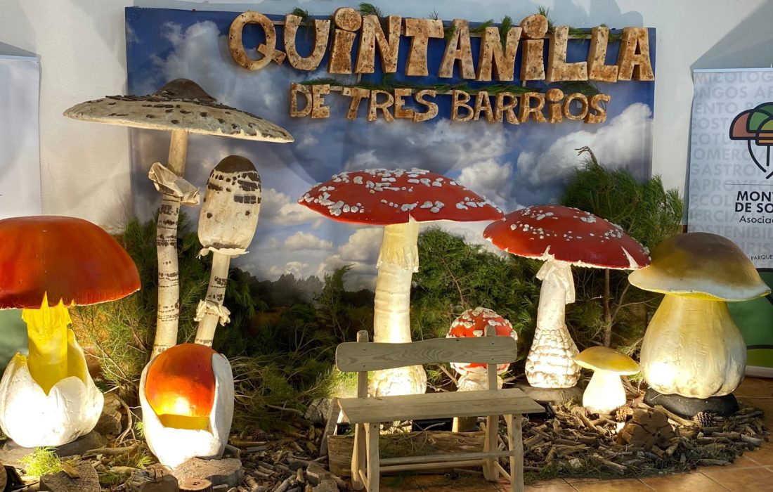 Ruta micologica y taller de reposteria en Quintanilla de tres barrios. Tursoria