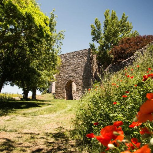 Imagen-puerta-arabe-y-flores