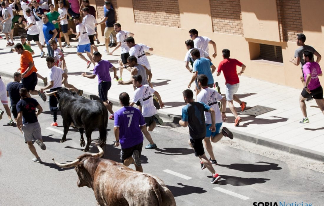 Tursoria jornada toro bravo