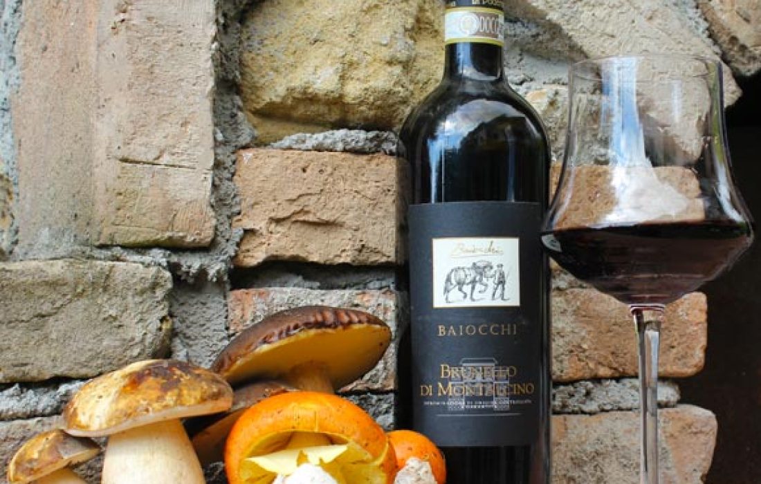 Taller de micología en Muriel Viejo. Tursoria