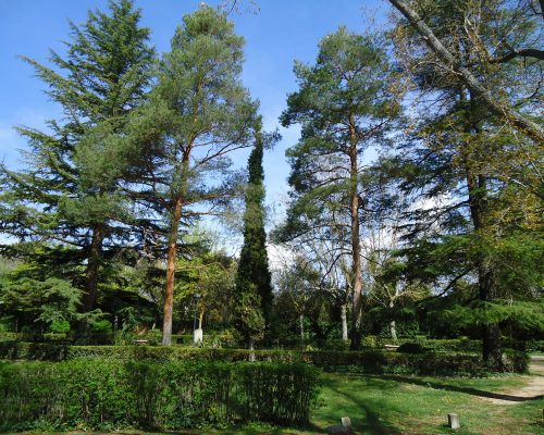 Parque-la-arboleda-Almazan-6