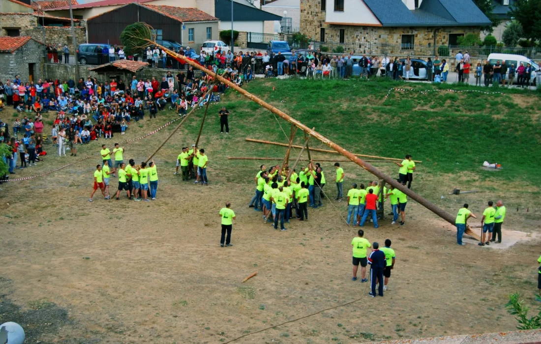 Tursoria pingada del mayo en Abejar