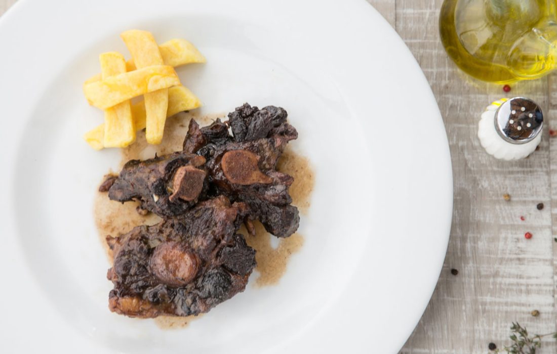 Tursoria jornadas micologicas