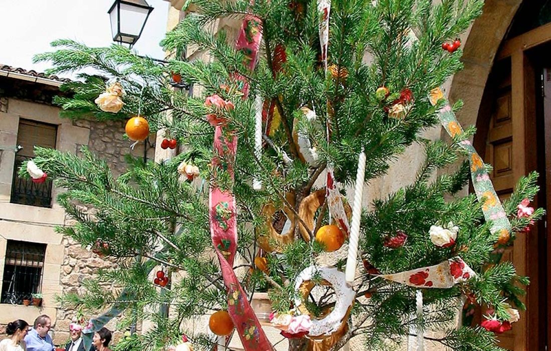 tursoria fiestas en honor a San Juan y El canto del ramo