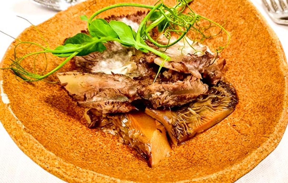 Taller de reposteria micologica en El Royo. Tursoria